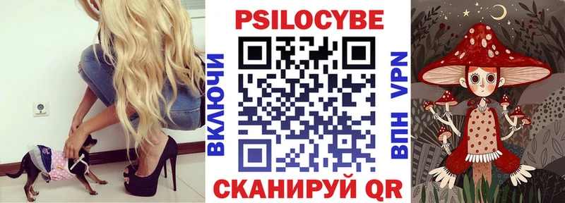 купить наркотики сайты  это какой сайт  Галлюциногенные грибы Psilocybine cubensis  Никольское 